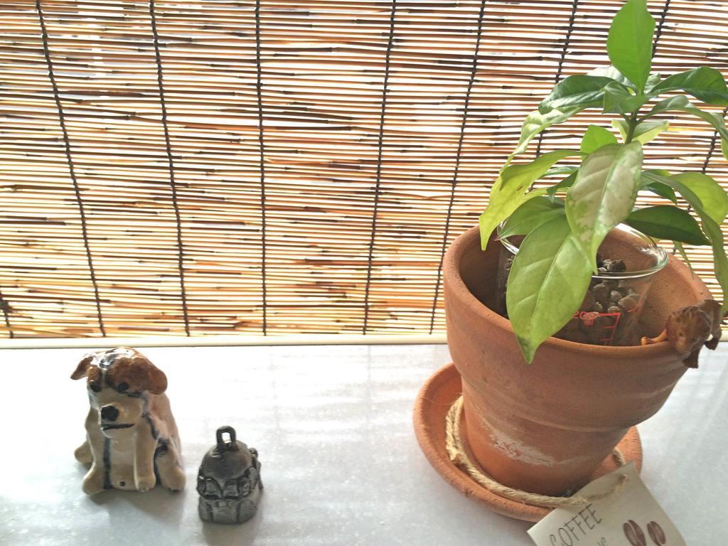Guesthouse Oasis โอซาก้า ภายนอก รูปภาพ